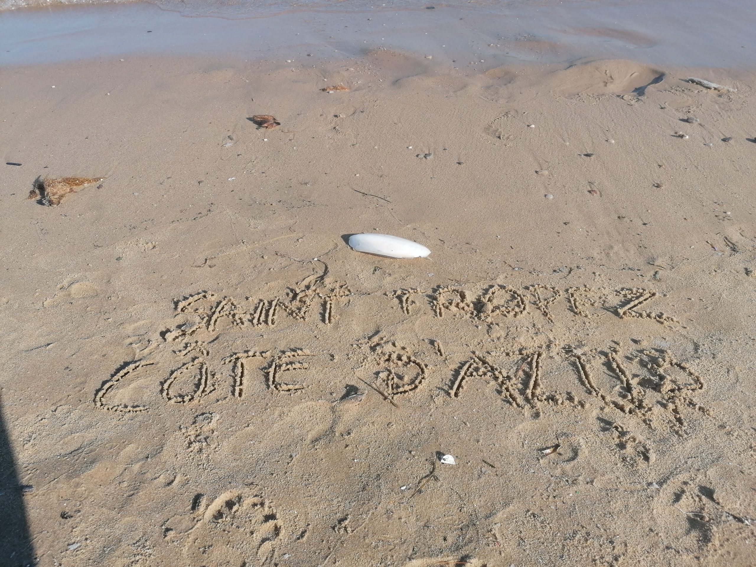 Writing with a feather in the sand with cuttlebone Azure Equilibrium
