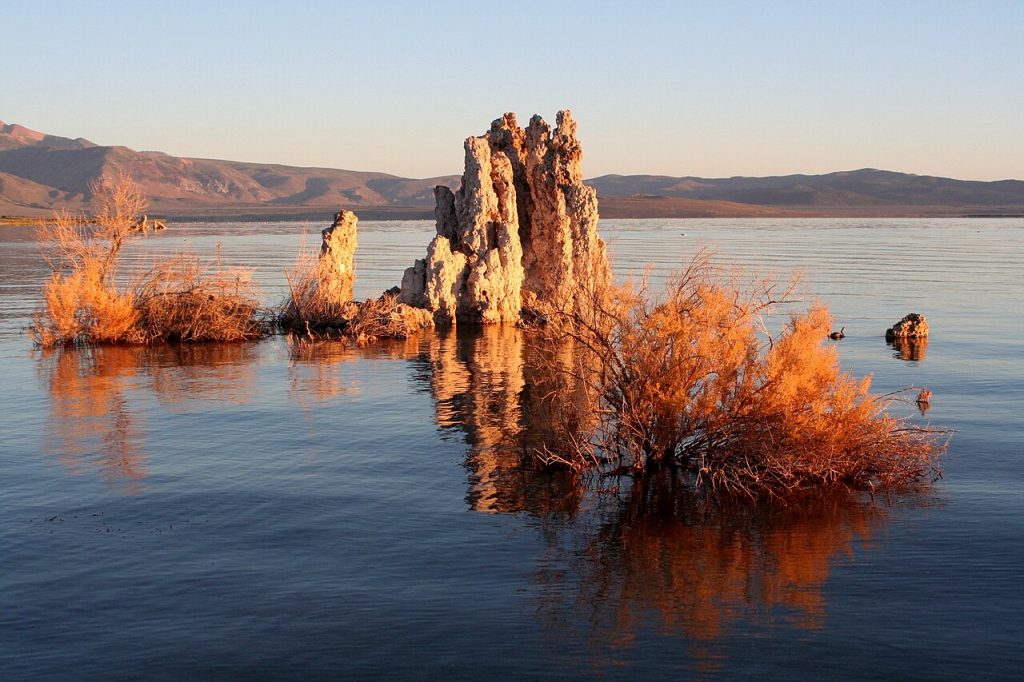 Porous Stone and Water - Mono Lake Tufa Soul Geology